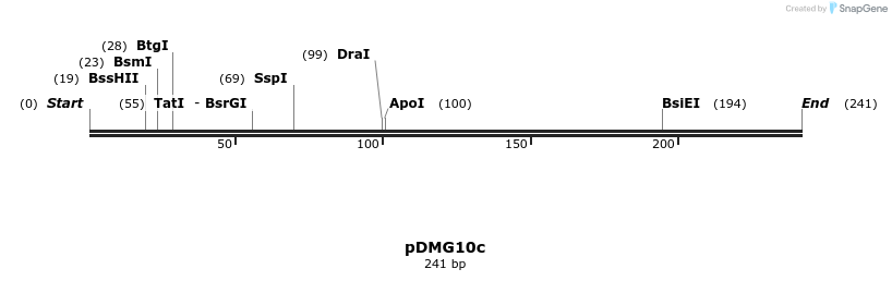 39337_map