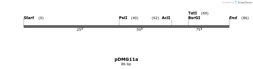 39338_map