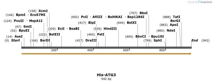 393546_map