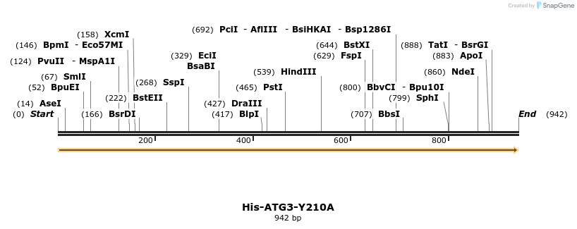 393549_map