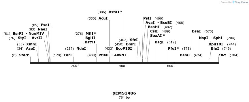 39355_map