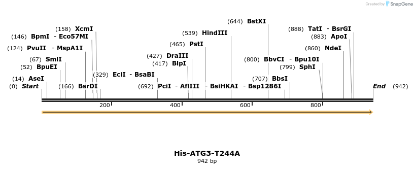 393550_map