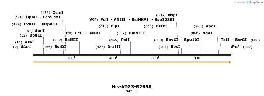 393552_map