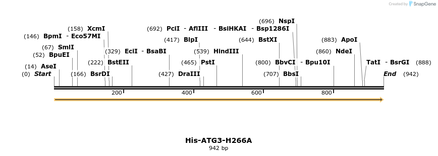 393553_map