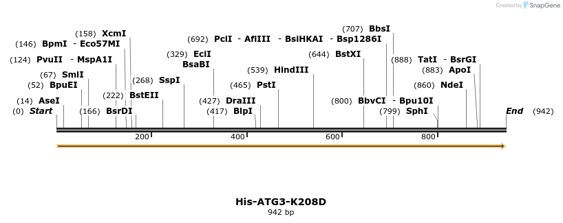 393554_map