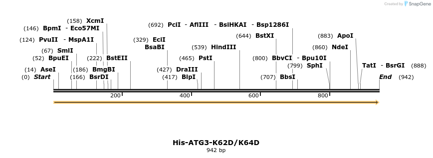 393555_map