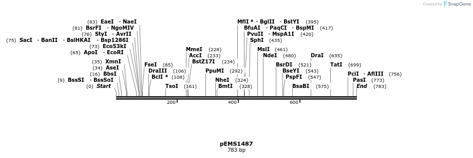 39356_map