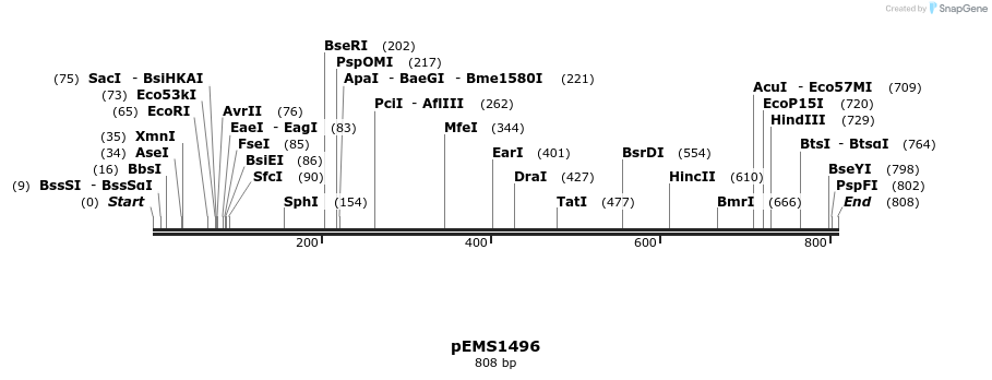 39360_map