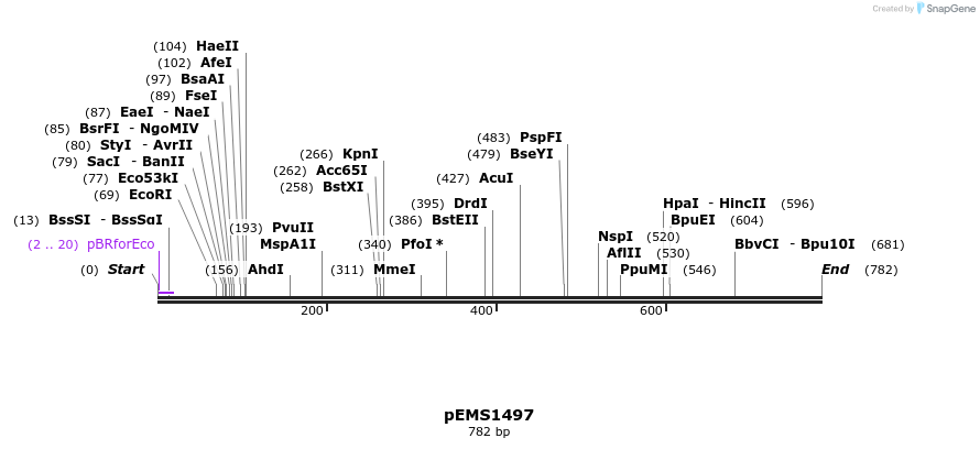 39361_map