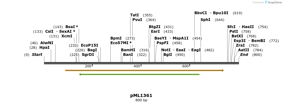 39365_map