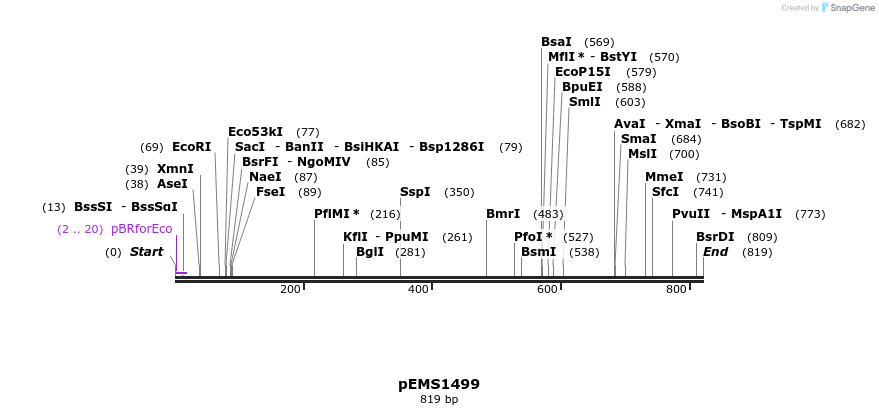 39367_map