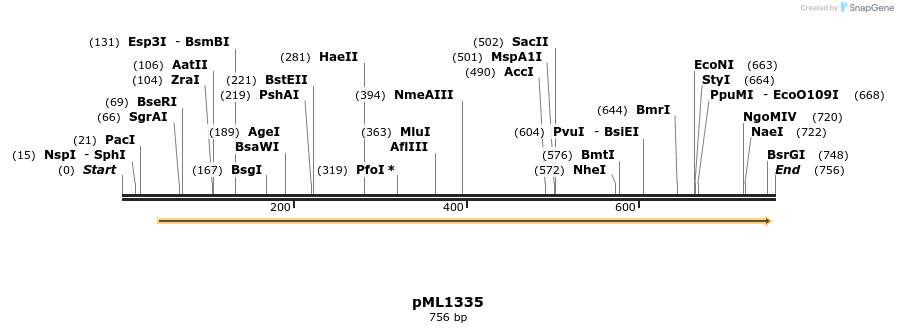 39368_map