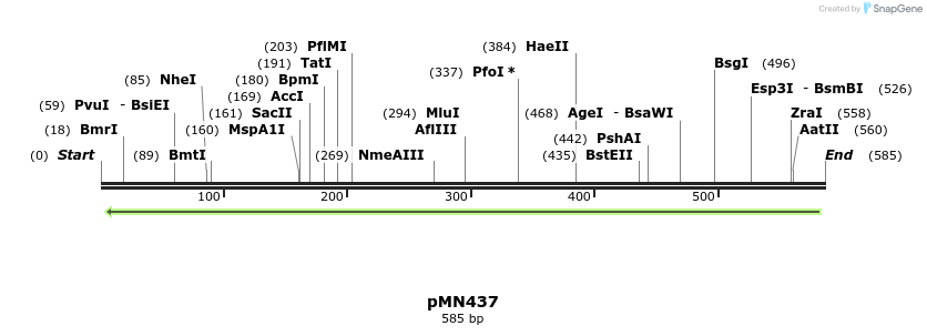 39370_map