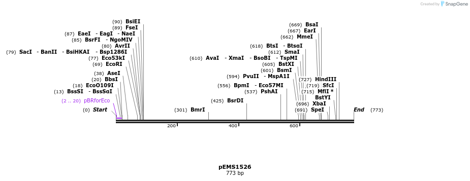 39371_map