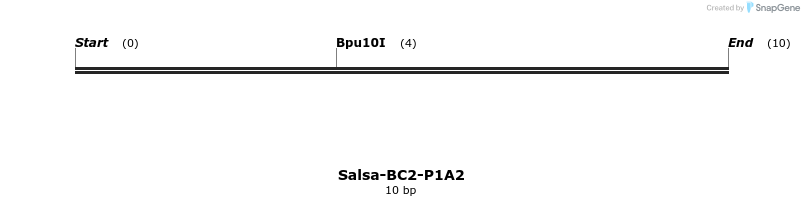 393716_map