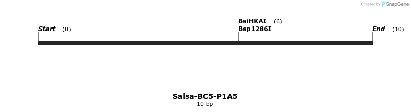 393719_map