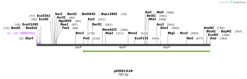39372_map