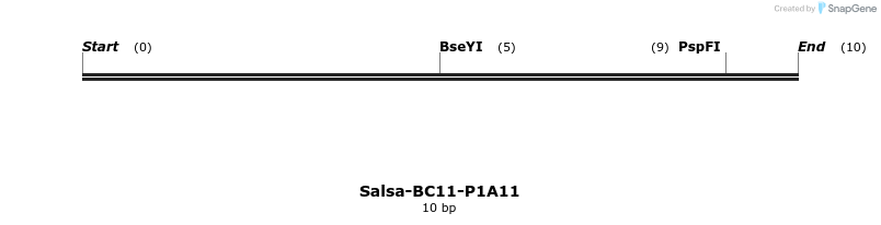 393725_map