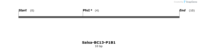 393727_map