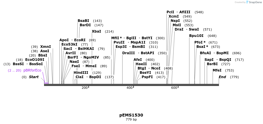 39373_map