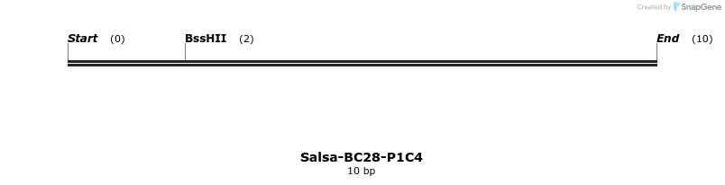 393742_map