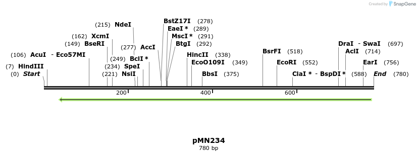 39376_map