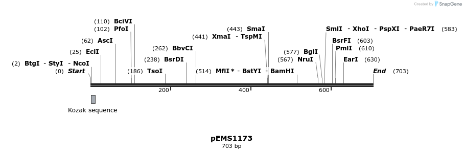 39377_map