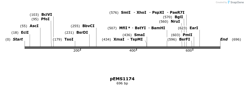 39378_map