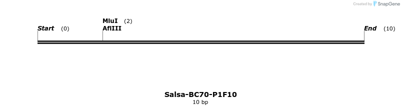 393784_map