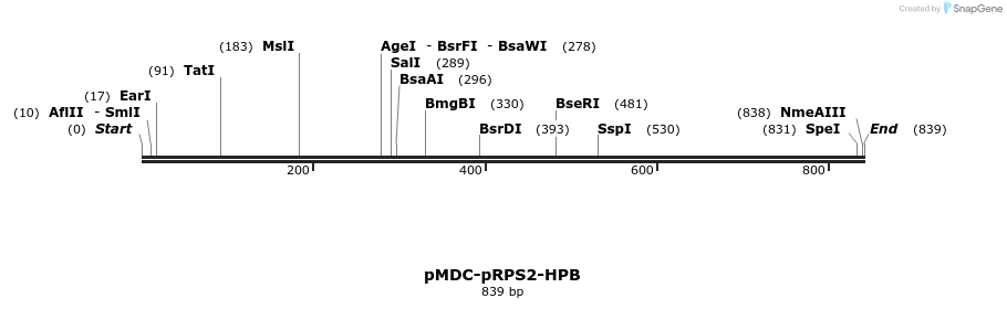39379_map
