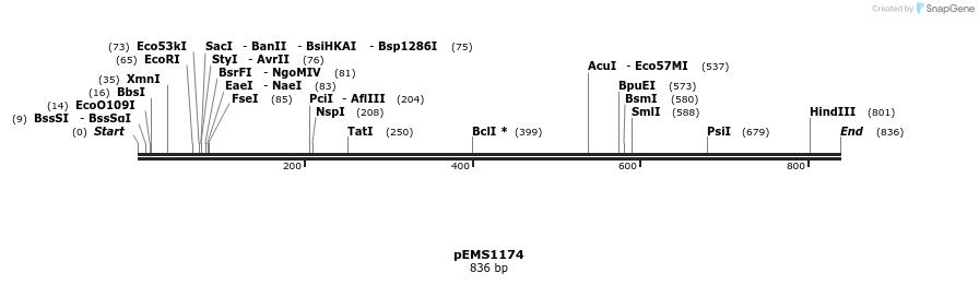39380_map