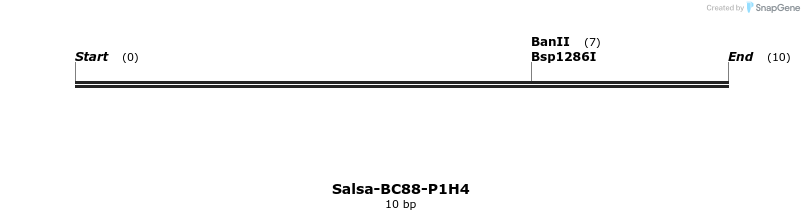 393802_map