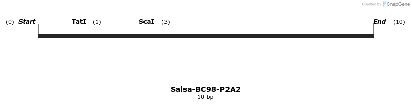 393812_map