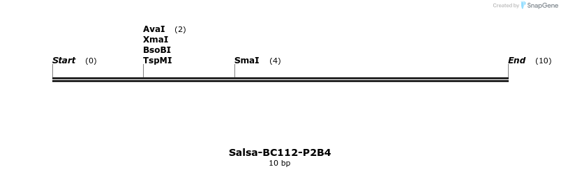 393826_map
