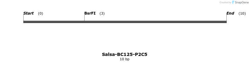 393839_map