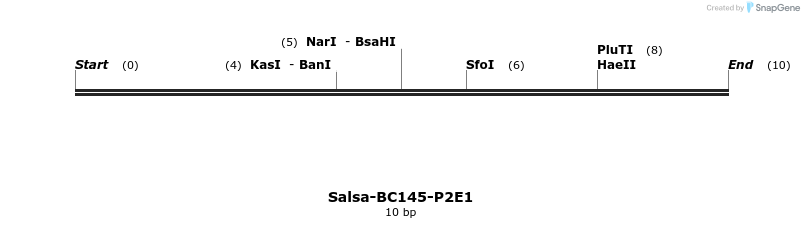 393859_map