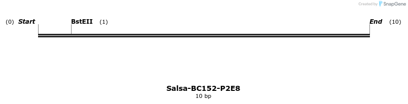 393866_map