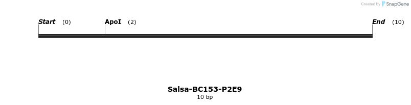 393867_map