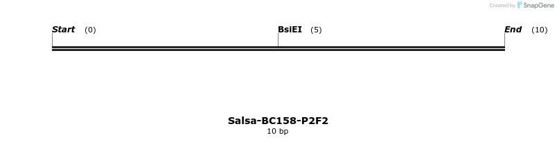 393872_map