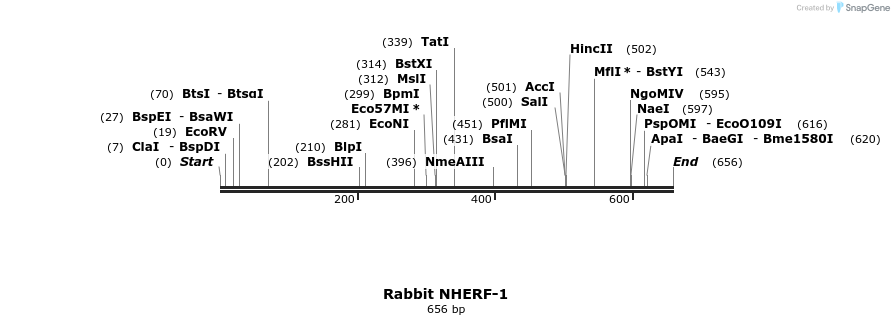 39388_map