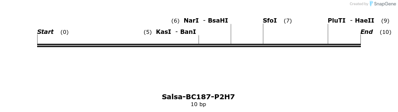 393901_map