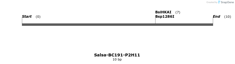 393905_map