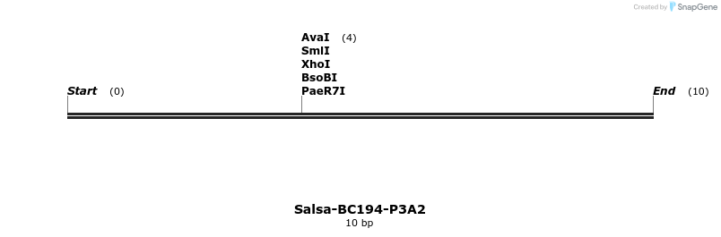 393908_map