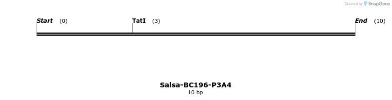 393910_map