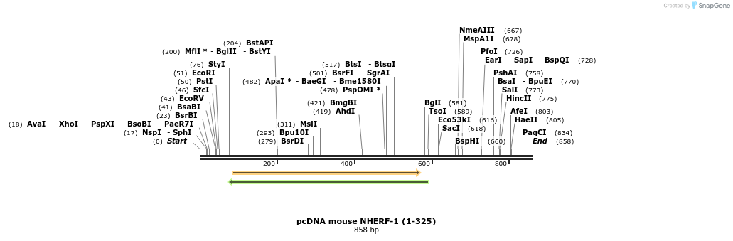 39392_map