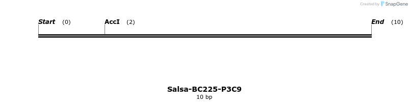 393939_map