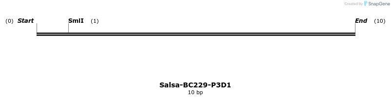 393943_map