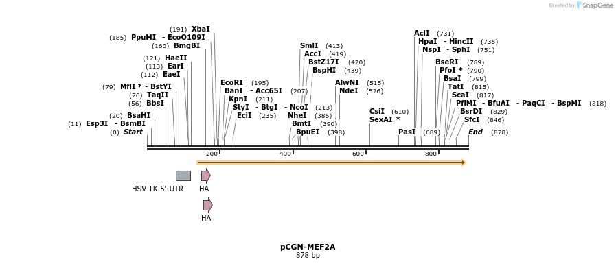 39396_map