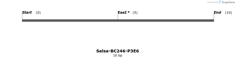 393960_map
