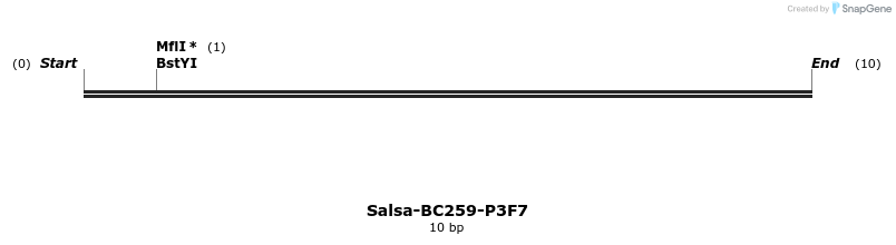 393973_map